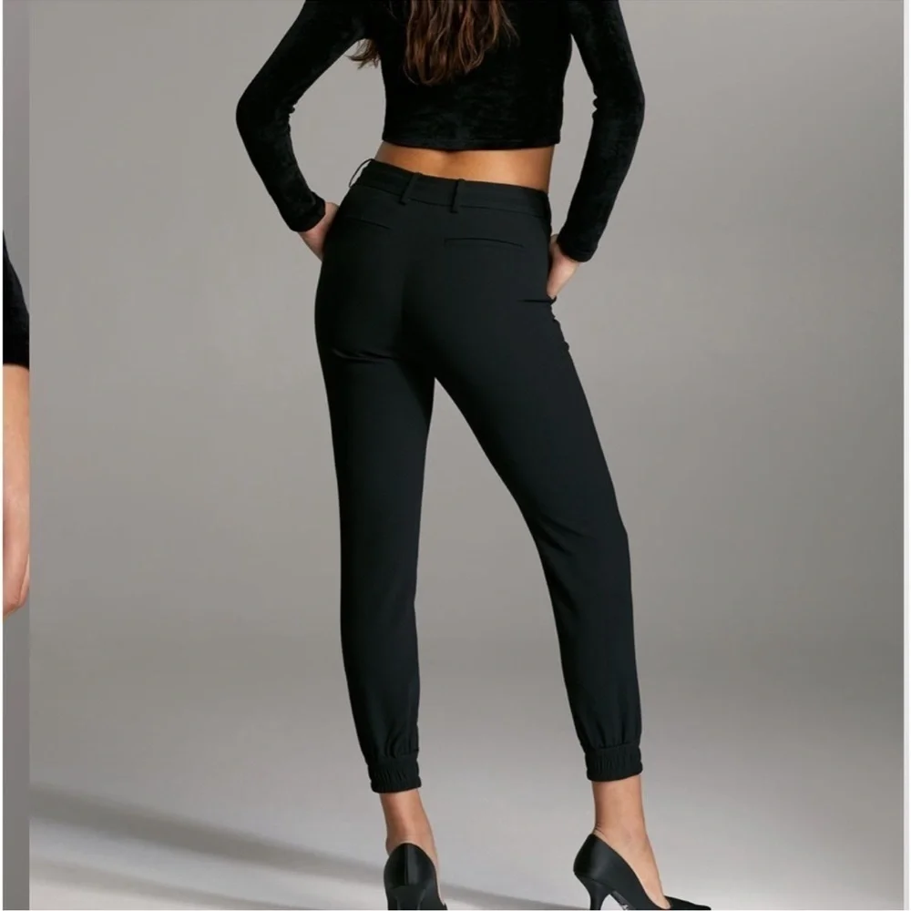 Aritzia Babaton Atelier Wade pant black jogger